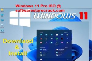 Windows 11 Pro ISO (32/64-bit Official Links) (Tested)