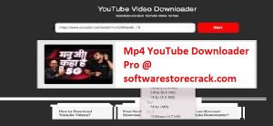 YTD Video Downloader Pro Crack + License Key Lifetime