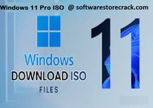 Windows 11 Pro ISO (32/64-bit Official Links) (Tested)