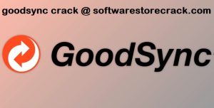 GoodSync Crack With Activation Key Full Working