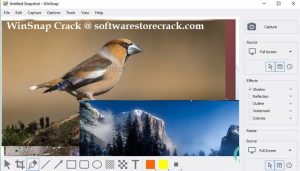 WinSnap Crack With License Key Full Version [Win/Mac]