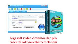 Bigasoft Video Downloader Pro 3.25.7.8491 Crack with Keygen (*)